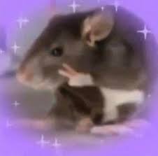 Nada ini datang dari berbagai media contoh lagu yang bertangga nada mayor : Tangga Nada Pada Lagu Halo Halo Bandung Brainly Co Id