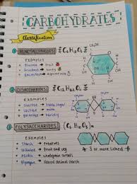 Megan S Studyblr Just Doing Some Home Economics Study This Morning In 2020 Biology Notes Nursing School Notes Study Biology