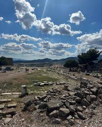 Image result for Thesium pygmaeum