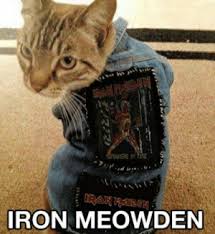 Iron maiden eddie metal meme, things metal. 25 Best Iron Maiden Eddie Memes Iron Maiden Memes Memes Maiden Memes