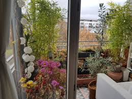 Jetzt zur wohnungssuche in freiburg. 2 Zimmer Wohnung Zu Vermieten 79111 Freiburg Rieselfeld Mapio Net