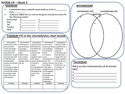 animal warm ups 7 weeks ppt download