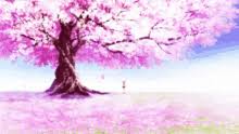 Casa anime animation aesthetic gif anime scenery animes wallpapers oeuvre d'art fantasy art anime art images. Anime Sakura Tree Gifs Tenor