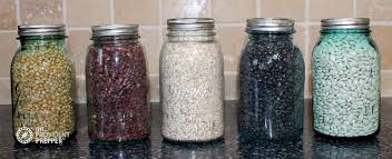 Glass jars factory direct wholesale glass storage jars, glass jars with lids. Packaging Dry Foods In Glass Jars For Long Term Food Storage The Provident Prepper