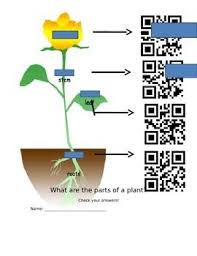 Parts Of A Plant Qr Code Worksheet Parts Of A Plant Cell Phones In School Used Cell Phones