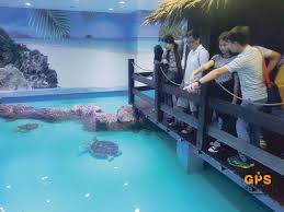 A joint venture between shore oceanarium and the malaysian fisheries department, this exhibit featuring adorable sea turtles aims to provide education and raise. 50 Sekolah Bertuah Terima Tiket The Shore Oceanarium Melaka Berita Gps Bestari