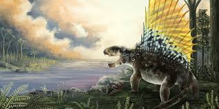 It is a member of the family sphenacodontidae. Dimetrodon And Its Sail Earth Archives