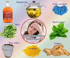 Home Remedies For Baby Fever Home Remedies For Fever Home Remedies Low Energy Remedies
