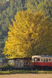 小湊鉄道 上総久保駅 aesthetic japan scenery beautiful places