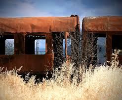 Nobody Wants Me Abandoned Train Train Photography Industrial Photography