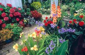 Your backyard is a space where you still essentially want nature to play the lead role. Best Small Backyard Garden Design Inspiration Beautiful Red Flower Backyard Flower Garden Design Backyard Flower Botanical Gardens Homedesign121