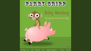 Baby Monkey Going Backwards On A Pig Youtube