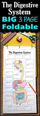 He knew what it sounded like when she was in the throes of an orgasm, panting, sobbing for breath. 31 Digestive System Ideas Digestive System Body Systems Human Body Systems