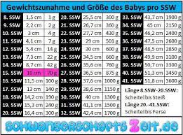 Gewichte zwischen 2,5 und 3,8 kilo sind ein gesundes maß für neugeborene. 15 Ssw Babys Entwicklung Grosse Und Gewichtszunahme