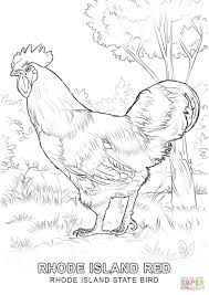 Select from 35450 printable crafts of cartoons, nature, animals, bible and many more. Rhode Island State Bird Super Coloring Bird Coloring Pages Chicken Coloring Pages Flag Coloring Pages