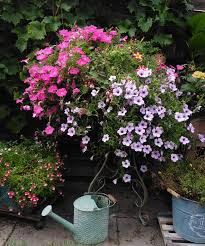Cottage Garden In 2020 Cottage Garden Plants Garden