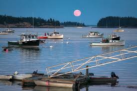 38 best maine favorites images maine maine lighthouses