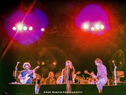 Image result for Orange 1976 Colt