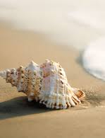 Dianna Hurley Obituary