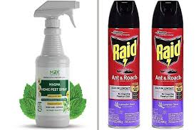 Bengal gold roach spray, 11 oz. 15 Best Roach Killers In 2021 To Get Rid Of Them