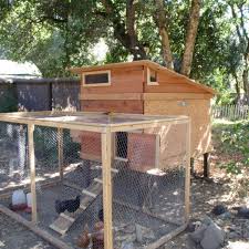 These diy duck house plans will free duck house plans: How To Plan A Backyard Chicken House Diy Coops And Accessories Pethelpful