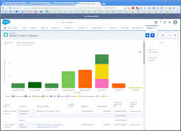 Lightning Experience Bug Picklist Color Values For