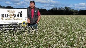 La Farine De Ble Noir Fait Son Retour En Bretagne Vitre Maville Com