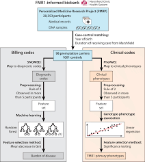 Tea, teatime, wiener roast, british lunch, light repast, antonyms: Data Driven Phenotype Discovery Of Fmr1 Premutation Carriers In A Population Based Sample Science Advances
