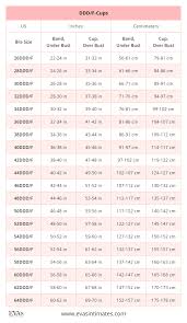 american us bra sizes in inches and centimeters