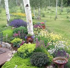 Colorado Perennial Garden 9000 Perennial Garden Amazing Gardens Perennials