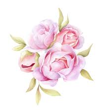 Pink Flower Bouquet Flower Pattern Floral Pattern Watercolor Peony Bouquet Pink Peonies Digital Pink Flower Bouquet Watercolor Bouquet Watercolor Peonies