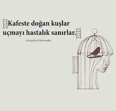 Kafeste Dogan Kuslar Ucmayi Hastalik Sanirlar Kafes Alejandro Jodorowsky Alintilar