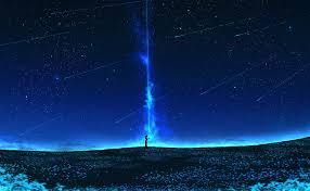 This item's appearance and description is a reference to vincent van gogh's infamous painting, the starry night. Hd Wallpaper Anime Original Flower Shooting Star Silhouette Stars Wallpaper Flare