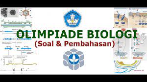 Dibawah ini adalah soal dan pembahasan osk osp osn sma 2018 lengkap untuk bidang biologi yang bisa dijadikan sebagai bahan referensi untuk seleksi osn tahun depan. Pembahasan Soal Osk Biologi 2018 Nomor 23 Youtube