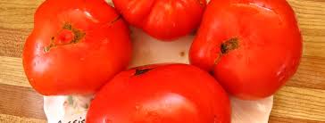 We did not find results for: Beefsteaks Red Rose Lg Mandy S Greenhouse
