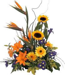 Bird Of Paradise Arrangement More Extravagant And Probably A Little Too Much Blumen Gestecke Blumen Gestecke