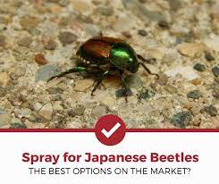 Top 7 Best Sprays For Japanese Beetles 2021 Review Pest Strategies