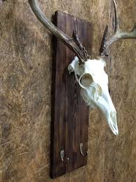 Beautiful Burnt Pine Skull Mount Hanger Skull Mount Plaque Skull Mount Bracket Whitetail Skull Hanger Antler Moun Deer Skull Mount Deer Skulls Antler Mount