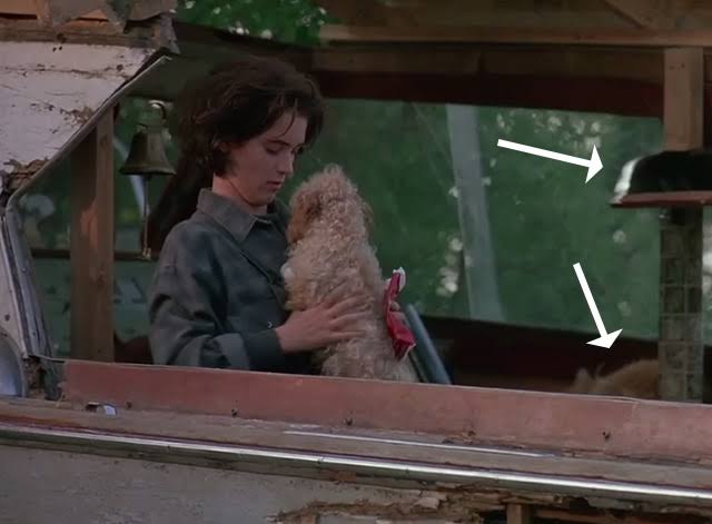 Welcome Home, Roxy Carmichael (1990) - Cinema Cats