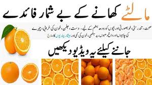 Orange Health Benefits In Urdu Santara Ke Fayde In 2020 Orange Health Benefits Oranges Benefits Health