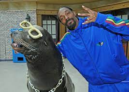 The best of snoop dogg mix. 24 Of Snoop Dogg S Best Online Moments
