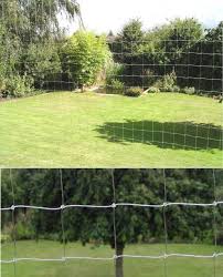 Boy katzennetze sind hochwertige schutznetze für katzen. Katzenschutznetz Taubenabwehrnetz Nylon Pa Breite 4m Engel Netze