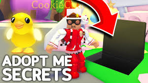 Even though adopt me codes existed in the past, the option to even redeem codes has now been removed from the game. Download All New Secrets In Adopt Me Easter Update Roblox