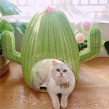 Cute cactus pet cat tree toys with ball scratcher posts for cats kitten climbing tree cat toy protecting furniture fast delivery. 17 7 Cactus Rattan Cat Bed Woven Dome Cat Cave In Green Cat Beds Cat Pet