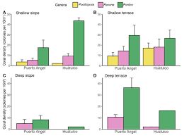Image result for Pearsonia mesopontica