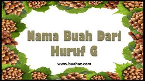 Seperti terlihat pada gambar di atas, yang pertama untuk nama hewan dari huruf z adalah zebra shark ( hiu zebra ), atau lebih kita kenal dengan nama cucut tokek dan cucut kembang. Nama Buah Berawalan Huruf G Www Buahaz Com