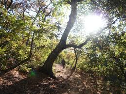Colorado springs, კოლორადოს აქვს სიჭარბით საინტერესო ადგილებში. Cactus Ridge Hike Hiking Route Outdooractive Com