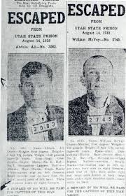 Interesting record discoveries