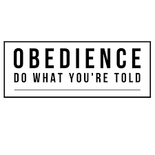 Obedience Do What You Re Told Southview