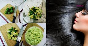 Limau kasturi yang telah diramas boleh dijadikan sebagai pencuci rambut atau kulit kepala. Tak Payah Pakai Syampu Diy Skrub Limau Purut Jadikan Kulit Kepala Sihat Rambut Cantik Bersinar Hijabista
